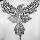 phoenixkill's Avatar