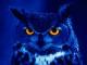 Nightowl1961's Avatar