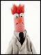 Nail's Avatar