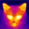 Novacat's Avatar