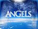 ANGELS Members Guild