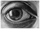Buflonob's Avatar