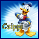 Csippi's Avatar