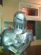 Goatie's Avatar