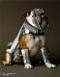 Doggyral