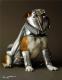 Doggyral's Avatar