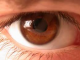 vicky1982's Avatar