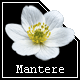 Mantere's Avatar