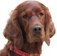 lufa67's Avatar