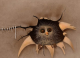 Ridder_Simon's Avatar
