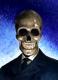 ShadowSpook's Avatar