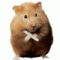 Ailvy's Avatar