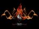 burn33's Avatar