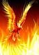 Phoenix rising