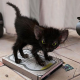 Visavillem's Avatar