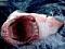 MarkTheShark's Avatar