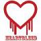 Heartbleed's Avatar