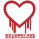 Heartbleed's Avatar