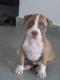 Lunita's Avatar